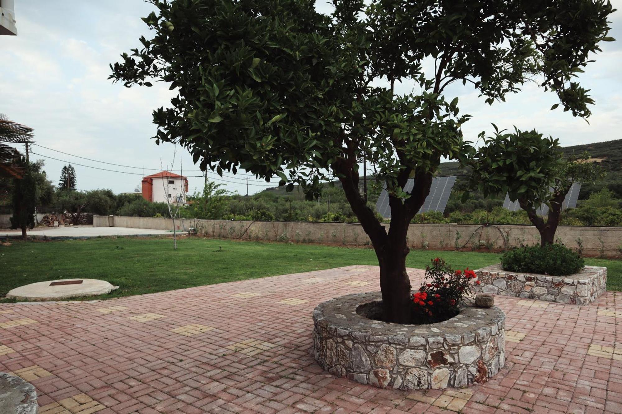 Villa Elea Apartments Spilia  Luaran gambar